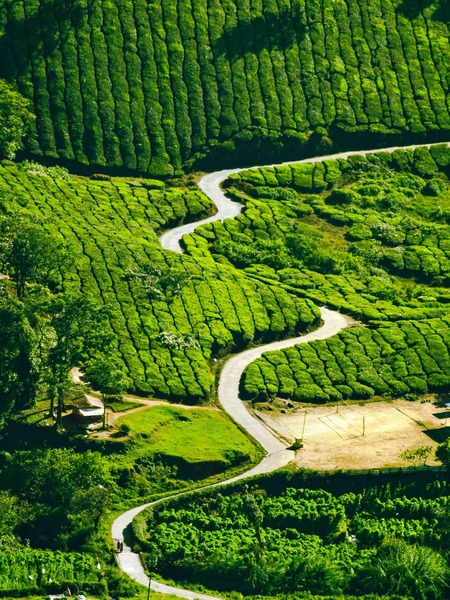 scenic motorcycle routes India 