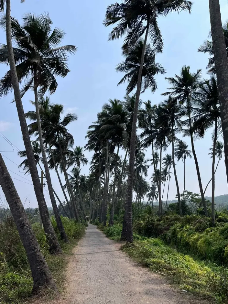 scenic motorcycle routes India 